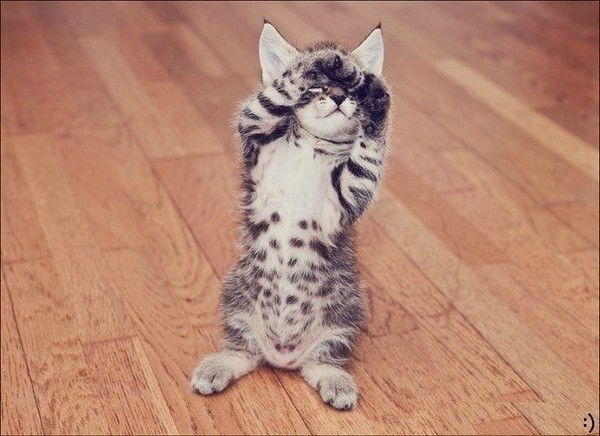 Елена Кондратенко