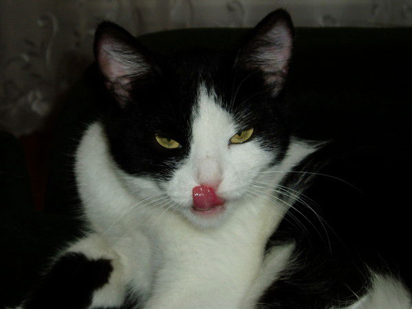 Оксана Левит