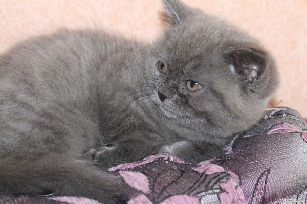 Марина Исаченко