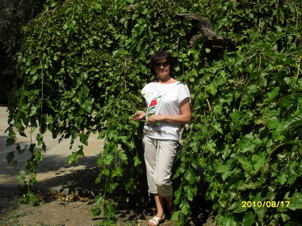 Анжелика Талыкова