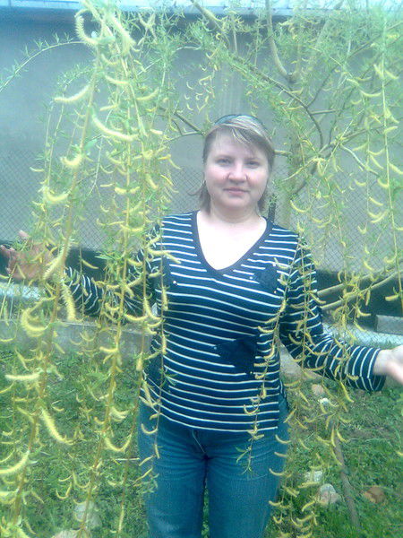 Елена Щербакова