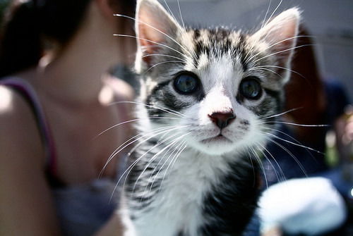 ●•°••в_Шоколаде ●•°••