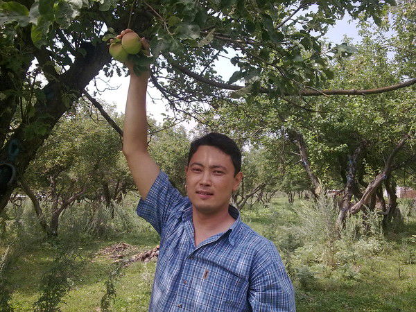 Тимур Исмаилов