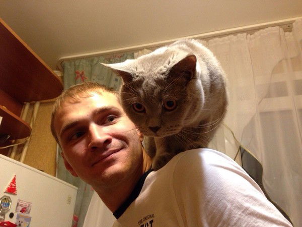 Константин Новиков