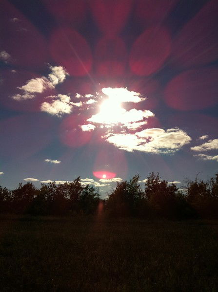 Олеся Полатовская