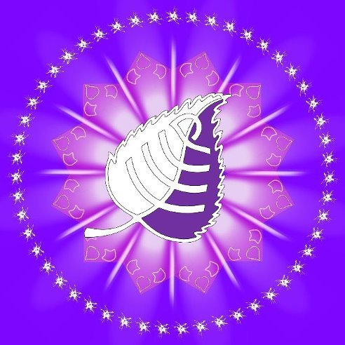 Сысолятина Нина