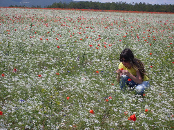 Людмила Кмитюк