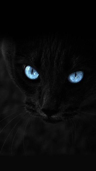 Маргарита Утургаури