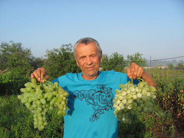 Дивенок Виктор