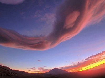 Игнатович Ольга