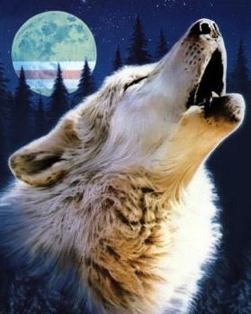 Алексей Гаршин