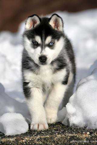 Людмила Шерер