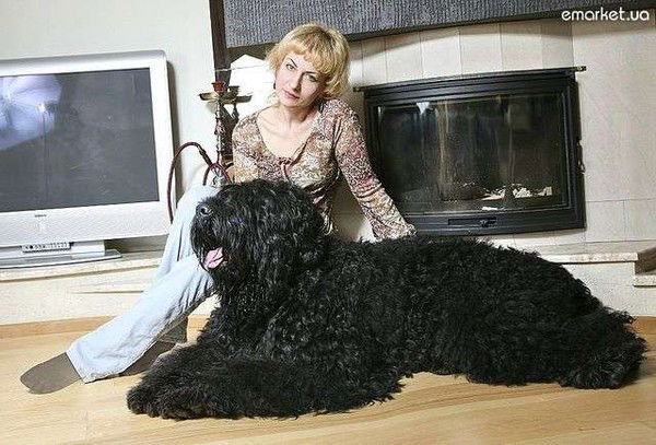 Елена Садыкова