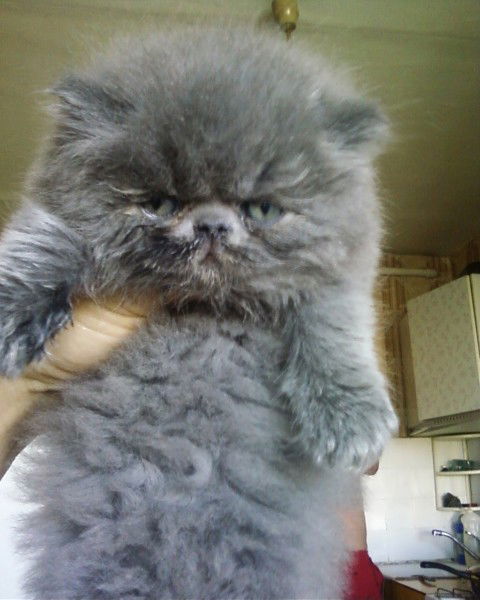 Славик Плаксюк