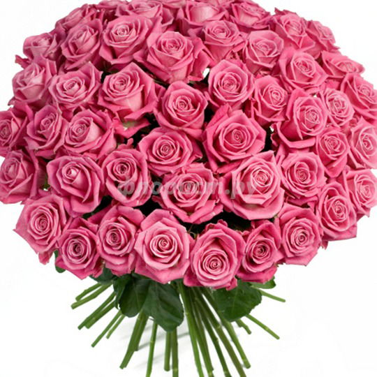 Альбина Сатцаева