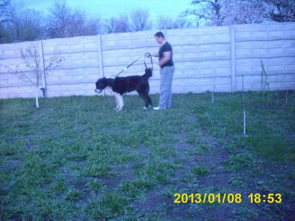 Aleksandr Korkodinov