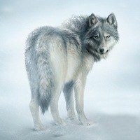 Данил Паньков