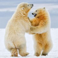 Феридэ Ларионова