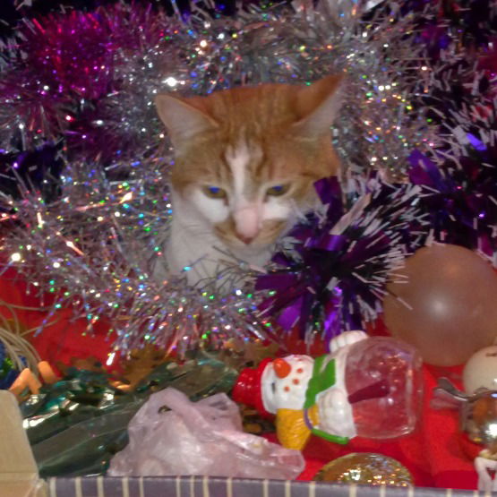 Алексей Михайлов