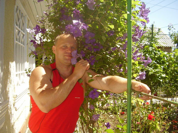 Владимир Пилипенко