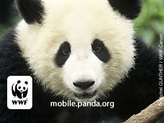 Ильдар Соловатов