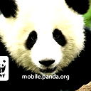 Ильдар Соловатов