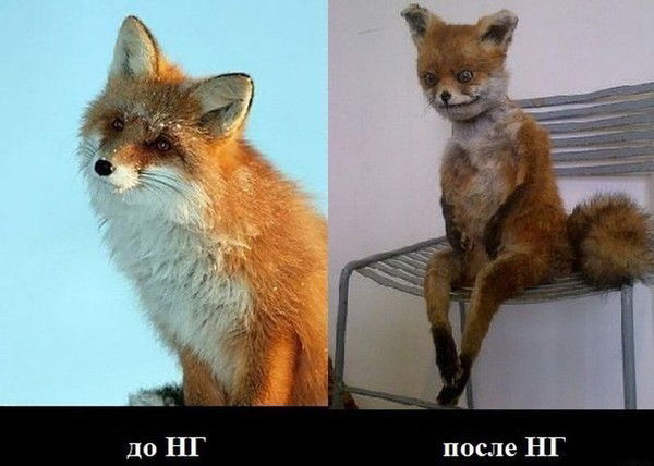 Серёжа Корбут