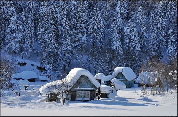 Владимир Кузьмин