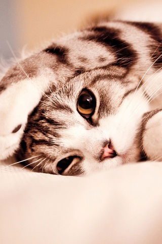 Гаухар Ералина