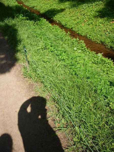 Сэмуель Ель Джексон