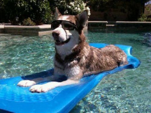 Артур Вербицкий