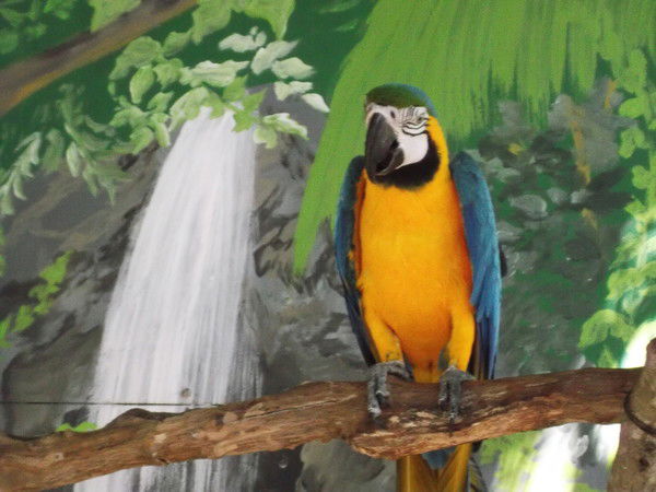 Татьяна Кириллова