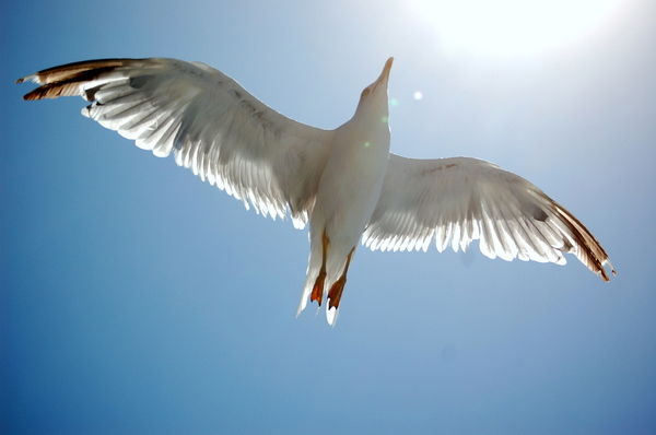 Тамара Филатова