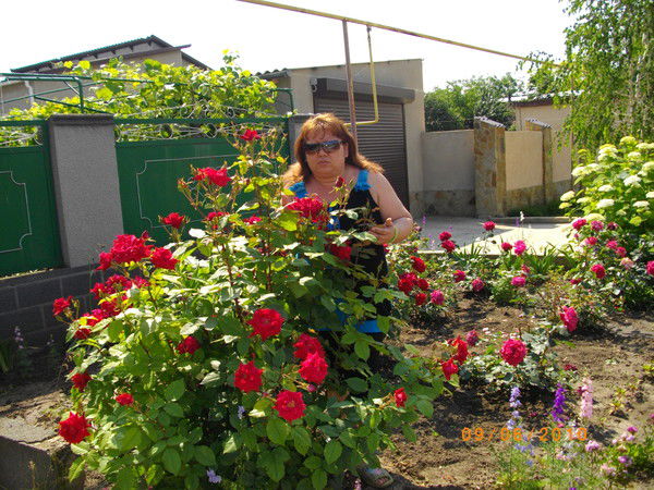 Ира Синельникова