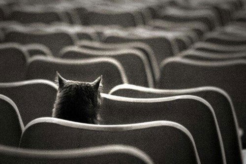 Евгений Иванов