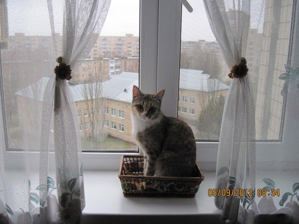 Надежда Сидоренко-Грачева