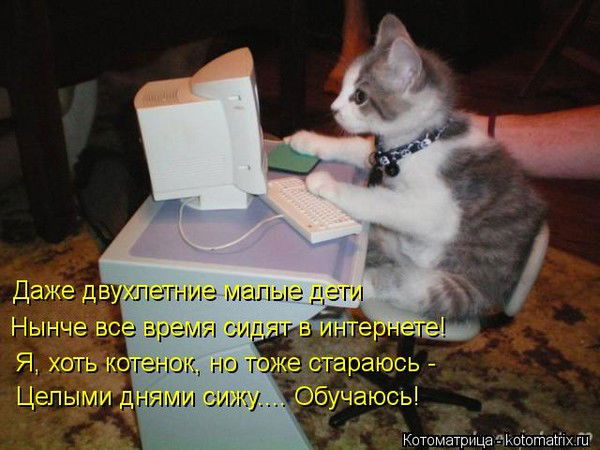 Денис Маркин