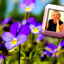 Галина Соколова