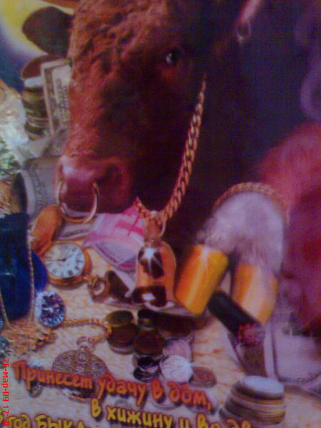 Александр Чернигов