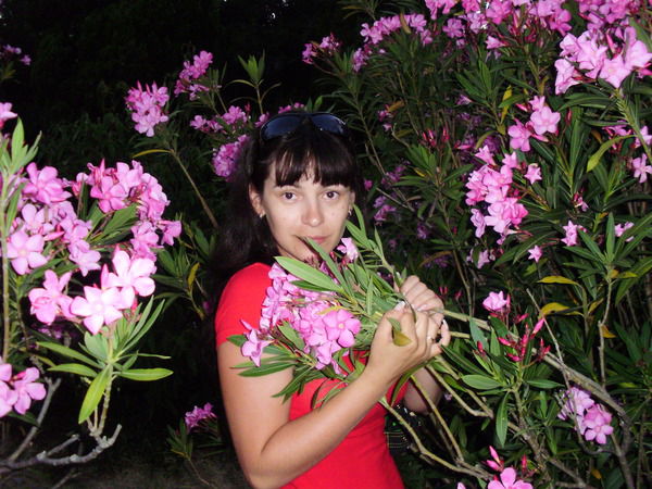 Алла Сущенко