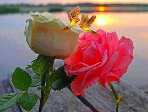 Акерке Панинова