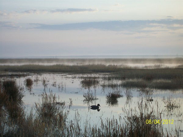 Алексей Трендюков