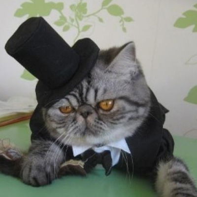 Владислав Демченко