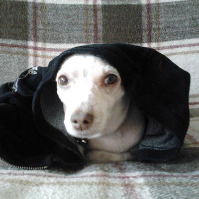 Анна Анисимова