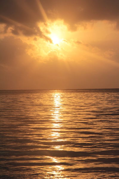 Константин Лазарев