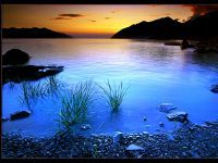 Лена Калмыкова