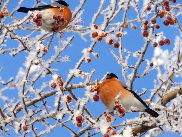 Наташа Буртакова