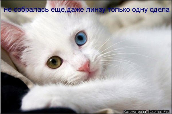 Златоуст К.маркса 15