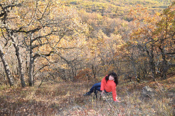 Татьяна Сергеева