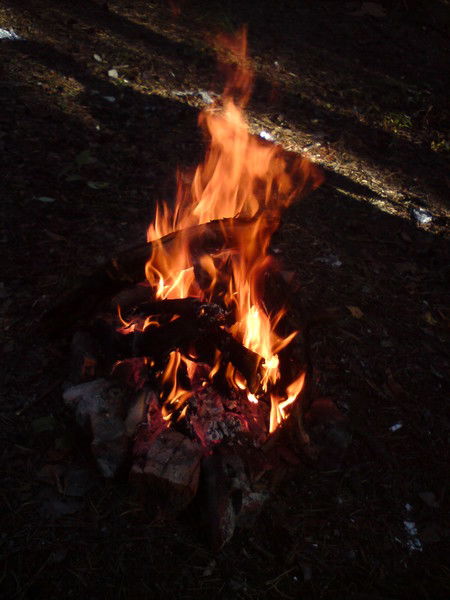 Алексей Самсонов